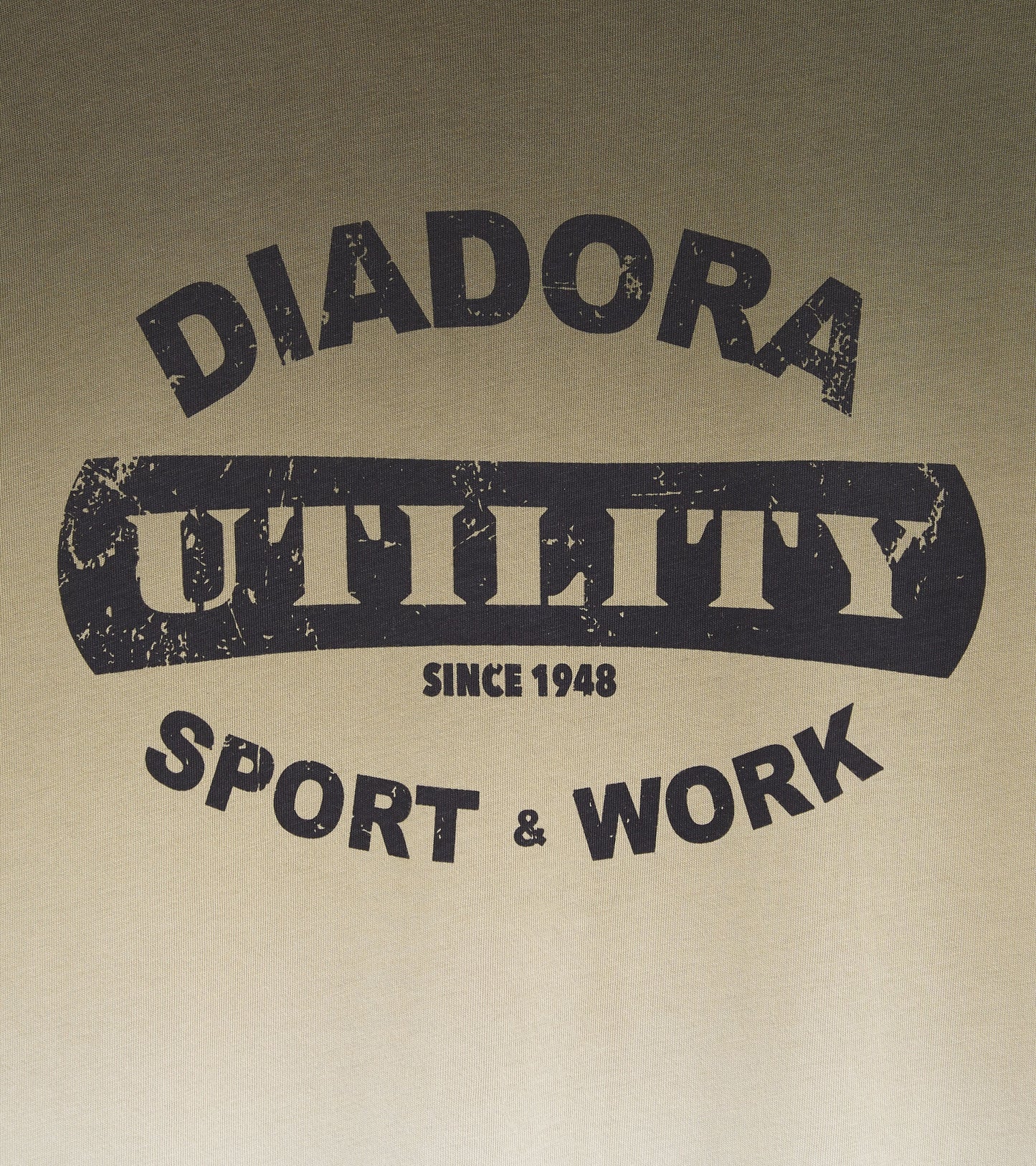 Diadora Utility  T-SHIRT DEEP DYED T-shirt manica corta 179831 25003 BEIGE BETULLA
